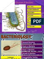 Bacteria PDF