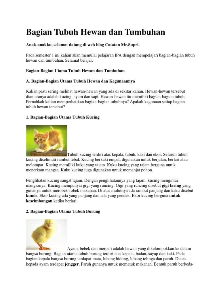 Kkm Penjas Kelas X Smt 1