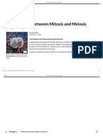 Meiosis Vs mitosis