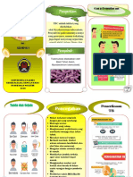 Leaflet Psikosis Epilepsi