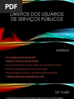 Apresentação Cheryl Berno_Direito Do Usuário de Serviços Públicos