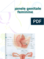Organele genitale feminine.ppt