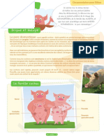 Fiche Cochons Eleves