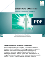 Tema 8. Introduccion al metabolismo.pdf