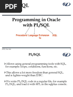 Programming in Oracle With PL/SQL