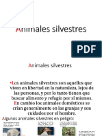 Animales Silvestres