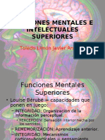 Funciones Mentales e Intelectuales Superiores