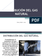 distribucindelgasnatural.pdf