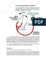 Auscultacion Del Torax Posterior