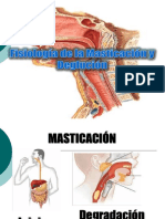 Exposicion de Masticacion y Deglucion