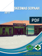 Profil UPT Puskesmas Sopaah 2017