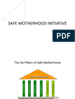 Safe Motherhood PDF