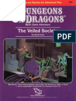 B6 - The Veiled Society