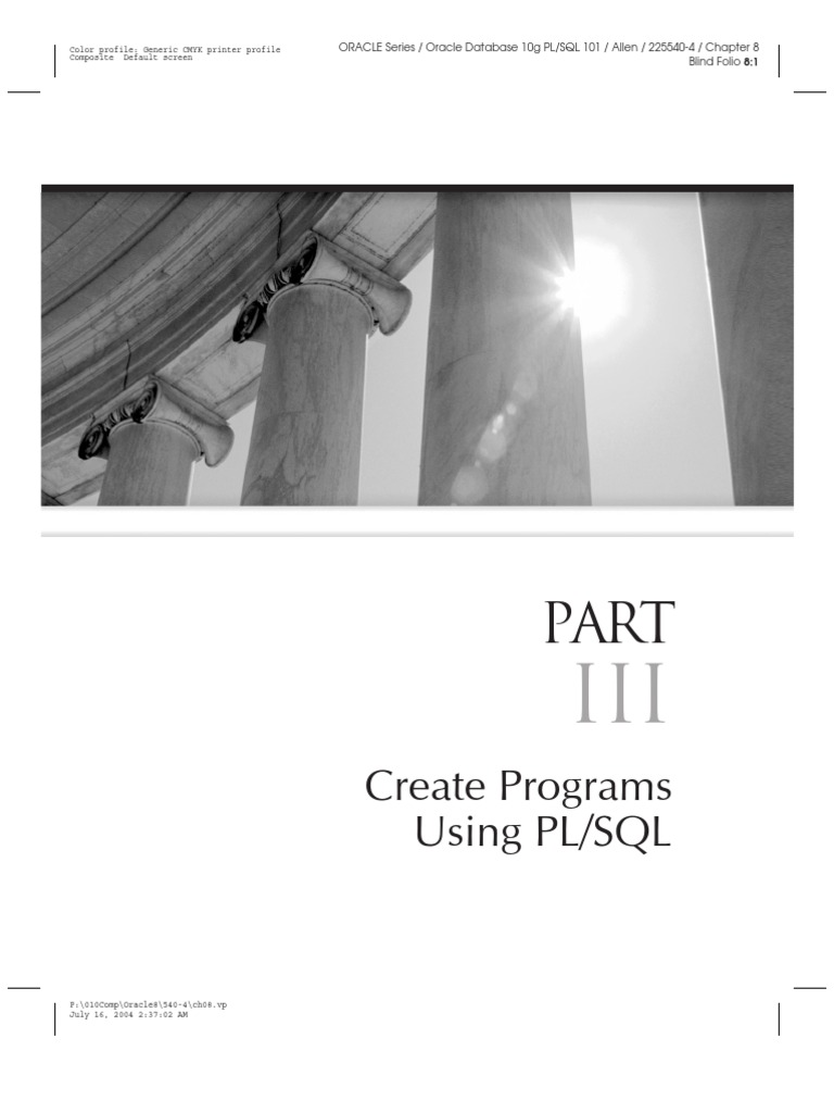Create Programs Using PL/SQL | PDF