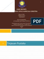 Case Report Cathleen Kenya