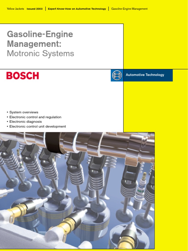 GasolineEngine Management Motronic Systems 2003 1 Throttle