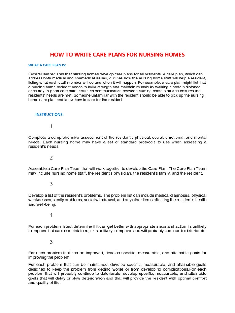 how to write a care plan essay
