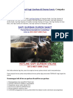 0812-9627-2689, Jual Sapi Qurban Di Duren Sawit, Cempaka Putih, Cengkareng