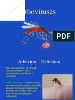 A Rbo Viruses