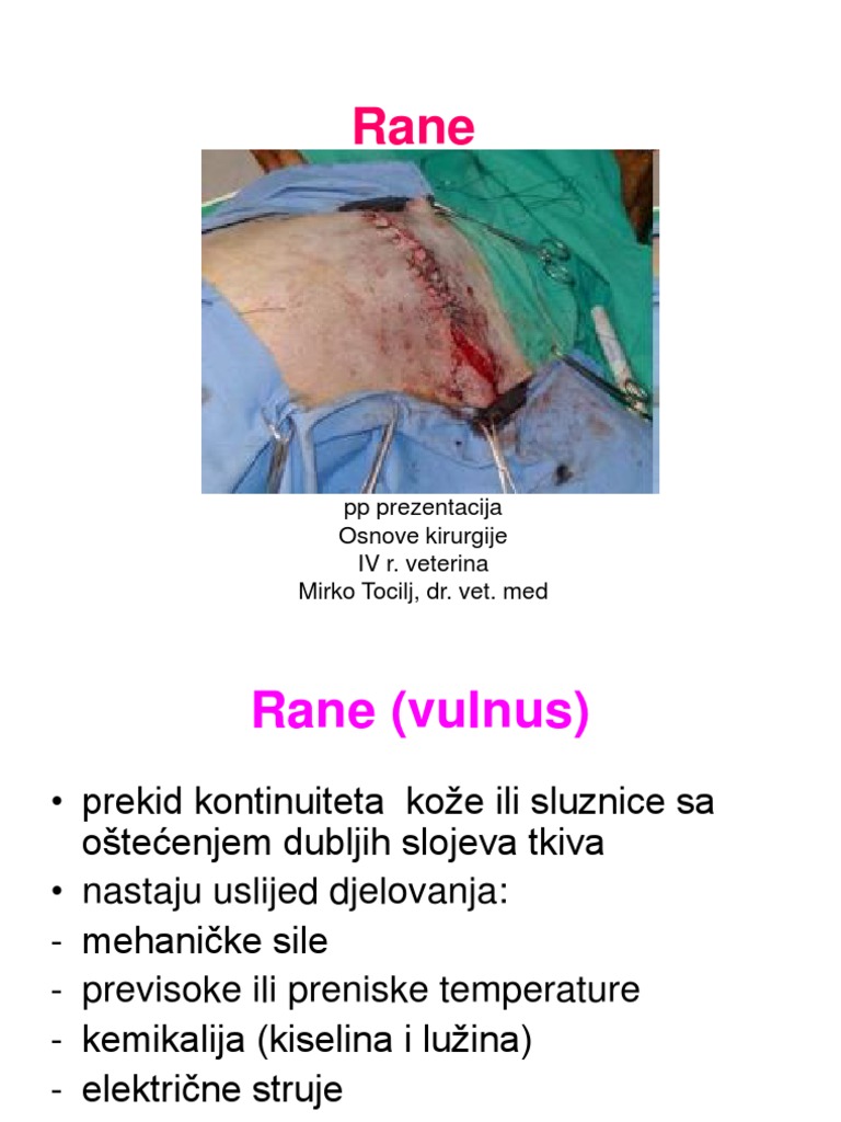 Rane | PDF
