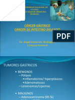 CA Gástrico e Intestino