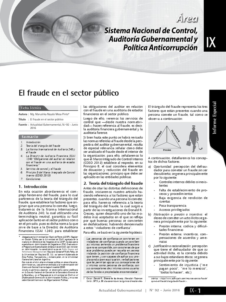 Fraude en el Sector Público: Análisis y Normas | PDF | Contabilidad ...