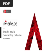 Generalidades sobre la PIIP | PDF | Presupuesto