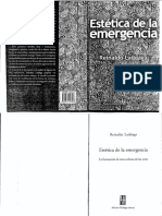 Estetica de La Emergencia.