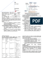 Fisiología gastrointestinal