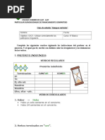 Guía Verbos Irregulares 6 Básico