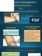 PPD-DIAPOSITIVAS.pptx