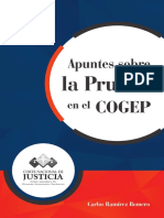 Ramírez, Carlos (2017).- Apuntes sobre la Prueba en el COGEP.pdf