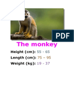 The Monkey: Height (CM) : Length (CM) : Weight (KG)