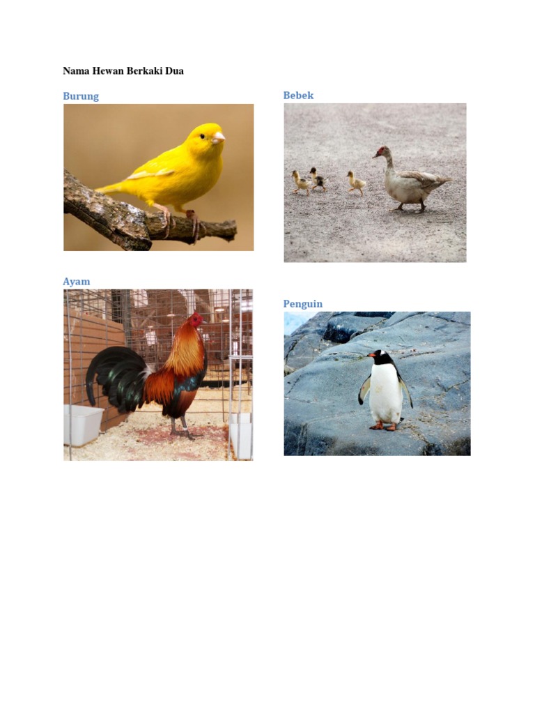 Nama Hewan Berkaki Dua