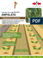 Gabay sa Pagtatanim ng Ampalaya 2.pdf