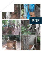 Dokumentas WC Cemplung Desa Rejo Katon