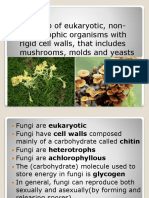 A Group of Eukaryotic, Non-Phototrophic Organisms With Rigid Cell Walls, That Includes Mushrooms, Molds and Yeasts