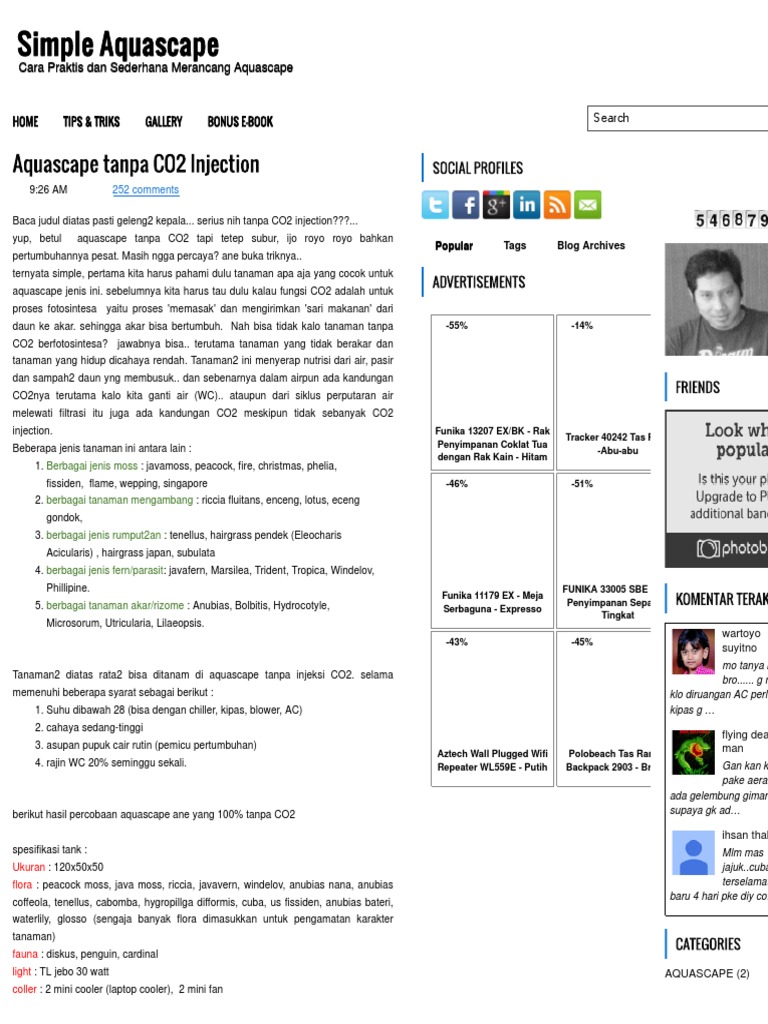 Aquascape Tanpa Co2 Injection Simple Aquascape