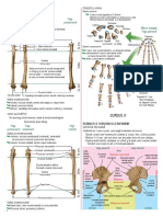 (Taresamumy Vyrewa 08 Kuno Go 001) 2