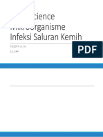 Basic Science Mikroorganisme Infeksi Saluran Kemih: Yoseph A. N. 13.144