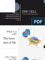 The Cell 11