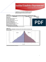 EstadisticaDepartamentodeSantaCruz.pdf