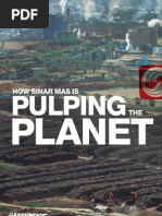 Download Sinar Mas Pulping the Planet by femi adi soempeno SN38574544 doc pdf