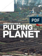 Sinar Mas Pulping The Planet