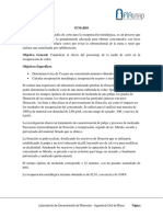 Informe Concentración de Minerales - Laboratorio 1. UNAP 