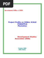 Investment Office ANRS: Project Profile On SMALL SCALE Pineapple Plantation