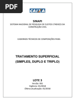 Sinapi Ct Lote3 Tratamento Superficial v001