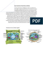 En Que Consiste La Teoría de Las Células
