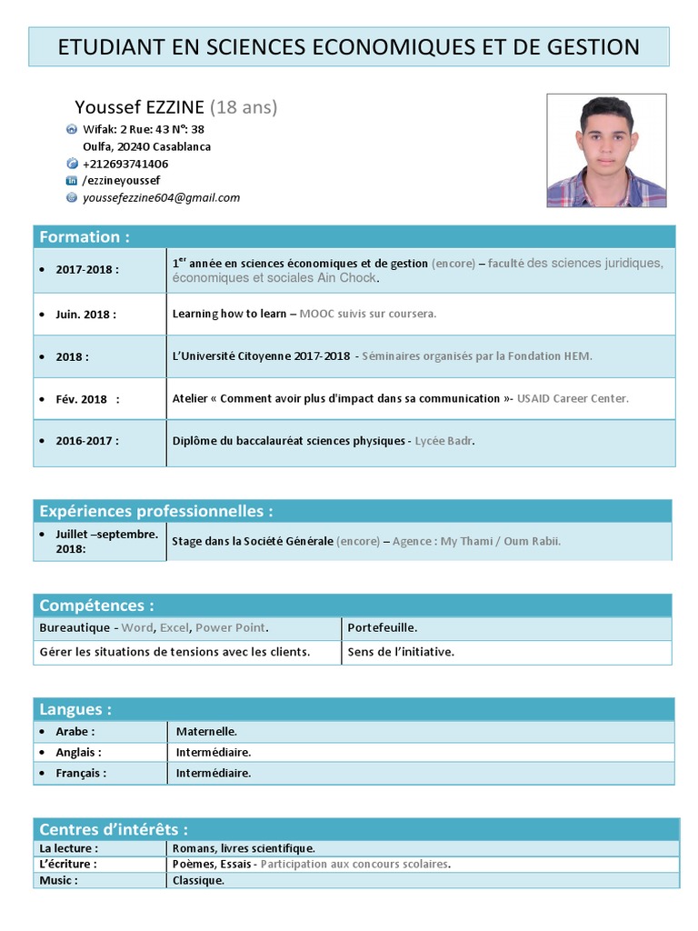 Ezzine CV. | PDF | Évolution de carrière