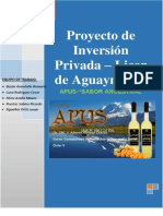 PROYECTO DE INVERSION PRIVADA - LICOR DE AGUAYMANTO.pdf